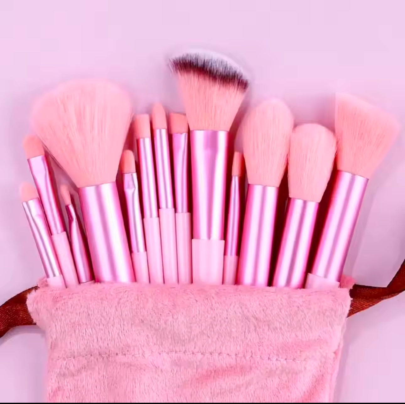 Set de 13 pinceaux maquillage + 1 éponge blender – Finition professionnelle