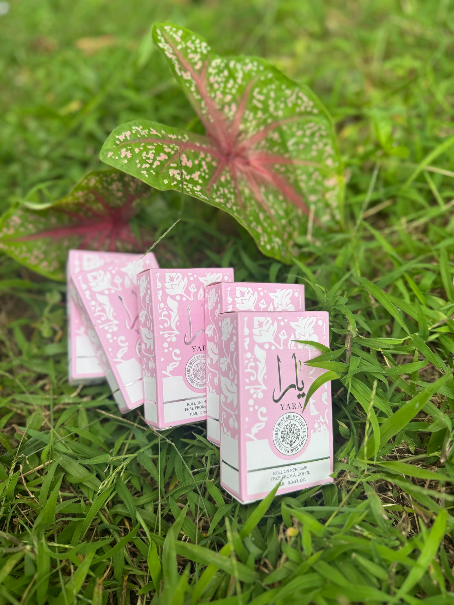 YARA orange, rouge framboise et rose – Parfum Roll-On 10 ml (Sans alcool)